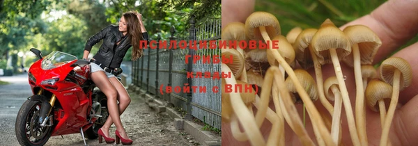 MDMA Premium VHQ Нефтегорск