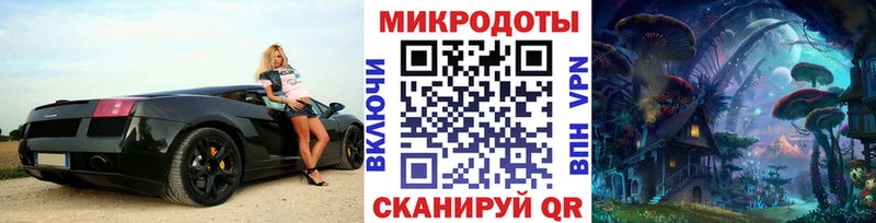 Купить закладки  Элиста  Псилоцибиновые грибы Magic Shrooms 