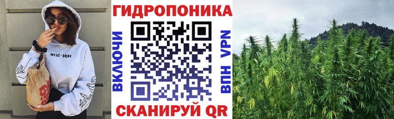 Шишки марихуана SATIVA & INDICA  Купить где  Элиста 